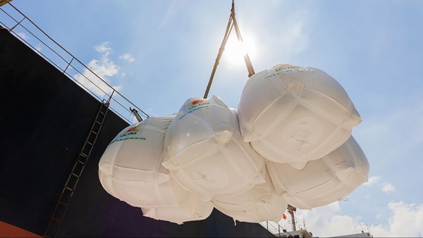 Vietnam becomes the world’s first country to produce and export low-emission rice