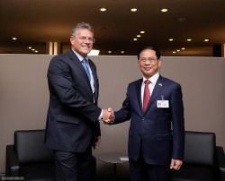 Bộ trưởng Bùi Thanh Sơn gặp song phương Bộ trưởng Ngoại giao các nước bên lề Đại hội đồng Liên hợp quốc