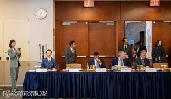 Việt Nam đề xuất bốn trọng tâm đối với hợp tác của 3G và G20