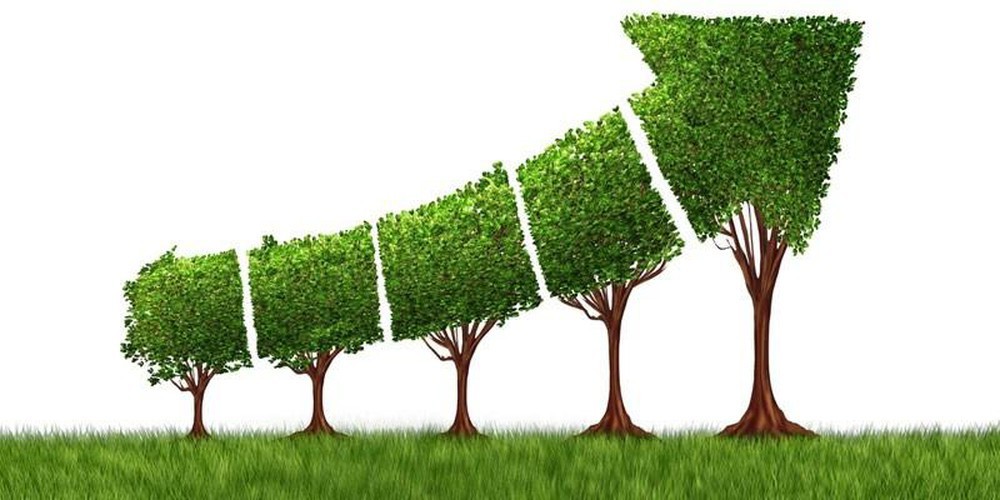 Xây dựng thương hiệu quốc gia xanh Việt Nam: Cơ hội và thách thức. (Nguồn: Shutterstock)