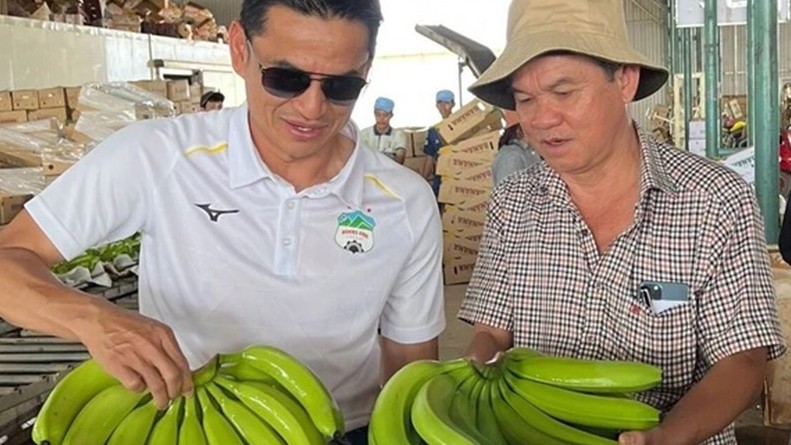 xuat khau ngay 18229 thu ve 384 ty usd rau qua lap ky luc lich su ca ngu tang toc vao thi truong my eu