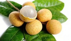 Mùa Thu ăn củ, quả gì để nâng cao khả năng miễn dịch?