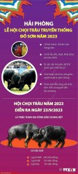 Hôm nay 23/9, bắt đầu diễn ra Lễ hội chọi trâu truyền thống Đồ Sơn năm 2023