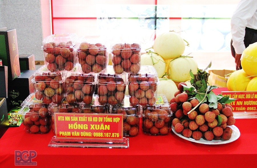 Sản phẩm vải thiều của HTX Hồng Xuân được cấp mã số đóng gói xuất khẩu. (Nguồn: BCP)