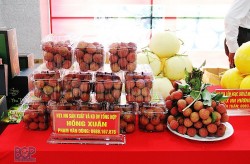 Bắc Giang tiếp tục khơi dậy tiềm năng, nâng cao chất lượng sản phẩm OCOP