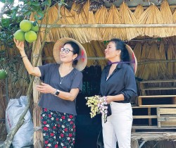 Nữ Thiếu tá về hưu đam mê nông nghiệp sạch và hai thập kỷ vẽ ‘rồng’ trên đất