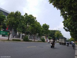 Dự báo thời tiết Hà Nội hôm nay 29/9/2023: Nhiều mây, sáng có mưa, mưa vừa, mưa to; sau mưa vài nơi