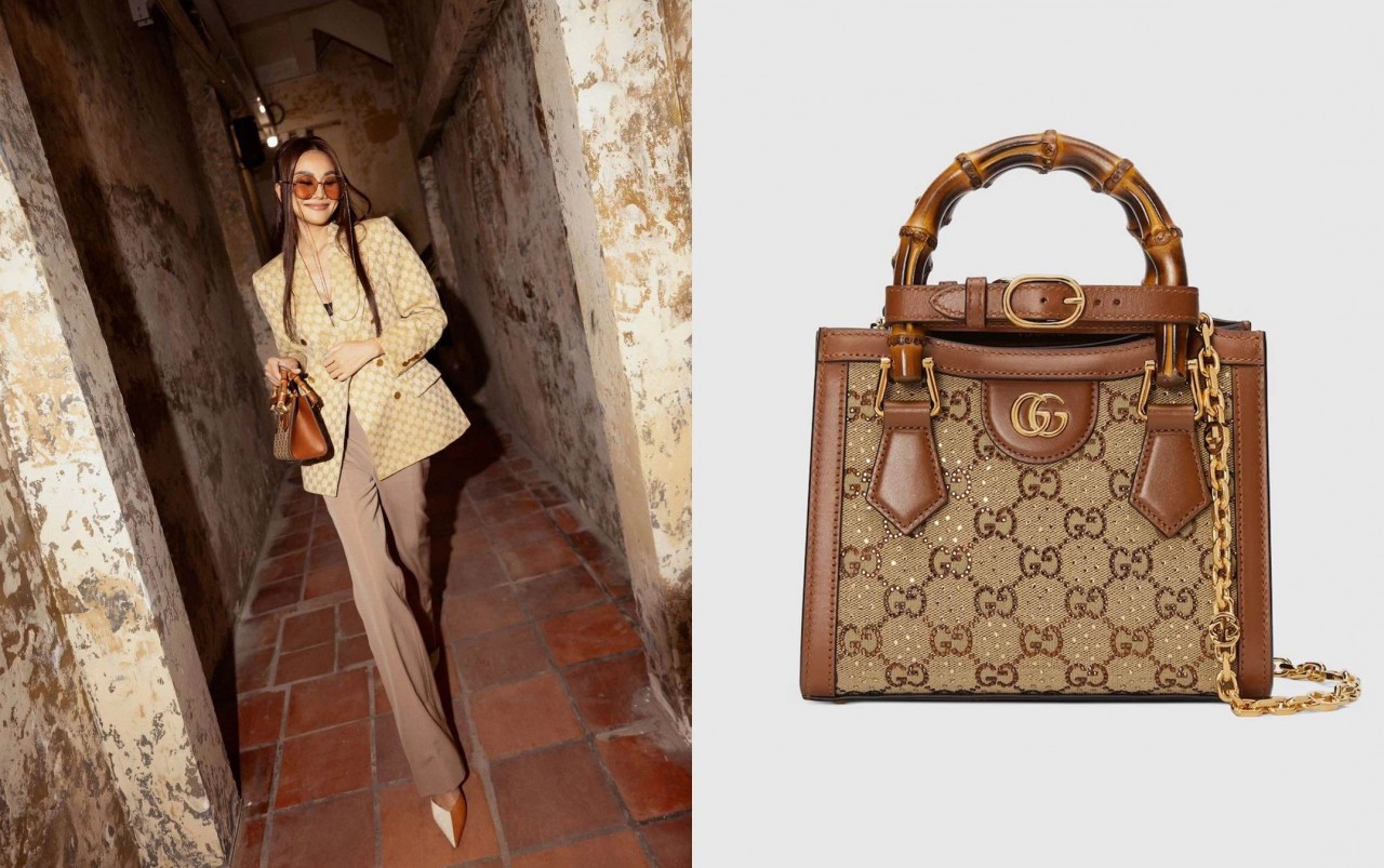 Bộ sưu tập túi xa xỉ của siêu mẫu Thanh Hằng