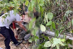 Bộ trưởng Giáo dục gửi thư thăm hỏi 2 cô giáo bị đất đá vùi lấp khi đi dạy về