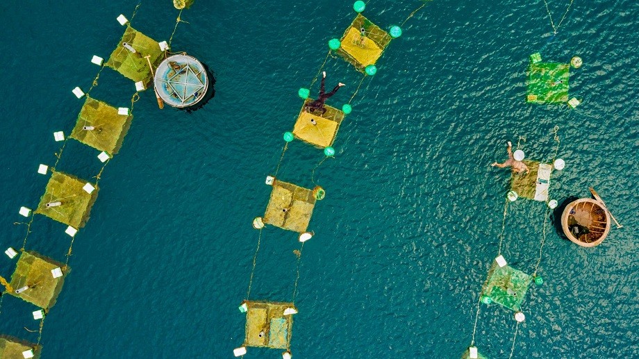 Biến đổi khí hậu và Môi trường và vai trò UNDP tại Việt Nam