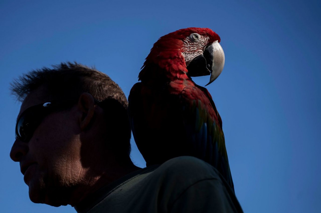 Ảnh ấn tượng (25/9-1/10): Tròn 1 năm Nga sáp nhập 4 vùng lãnh thổ; Ukraine bắn pháo tự hành ‘hoa cẩm chướng’; ông Biden có hành động lịch sử