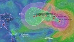 Dự báo bão Koinu: Vùng gần tâm bão cấp gió giật cấp 16, biển động dữ dội; các tỉnh, thành từ Quảng Ninh đến Khánh Hòa chủ động ứng phó