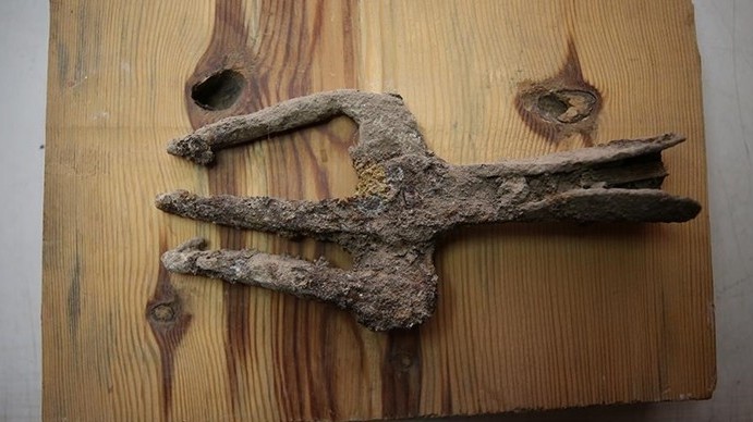 tho nhi ky phat hien cay dinh ba tu thoi co dai cach nay khoang 17001800 nam