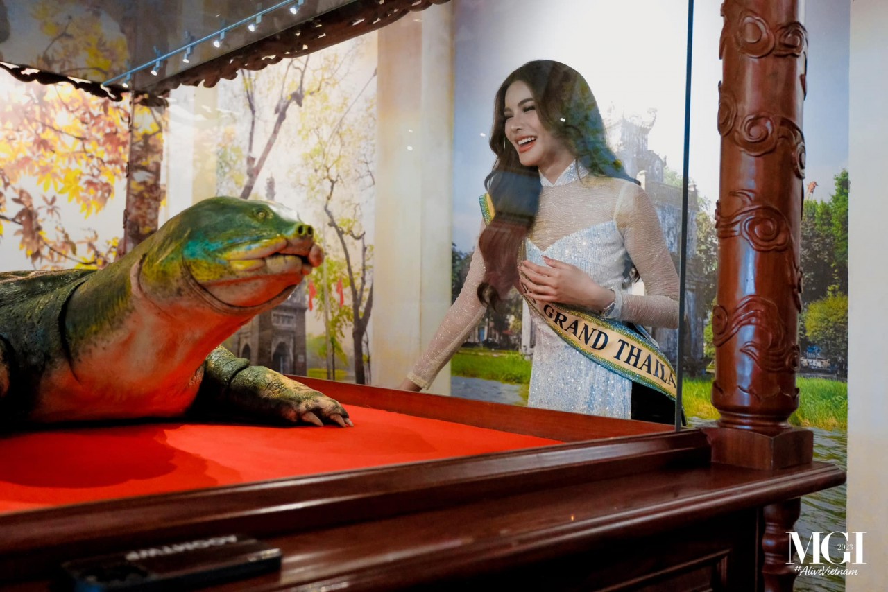 Hoa hậu Hòa bình quốc tế 2023: