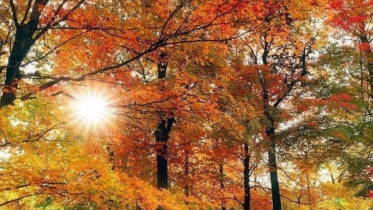 Mùa Thu Canada nhiệt độ cao bất thường; năm 2023 sẽ trở thành năm nóng nhất trong lịch sử nhân loại