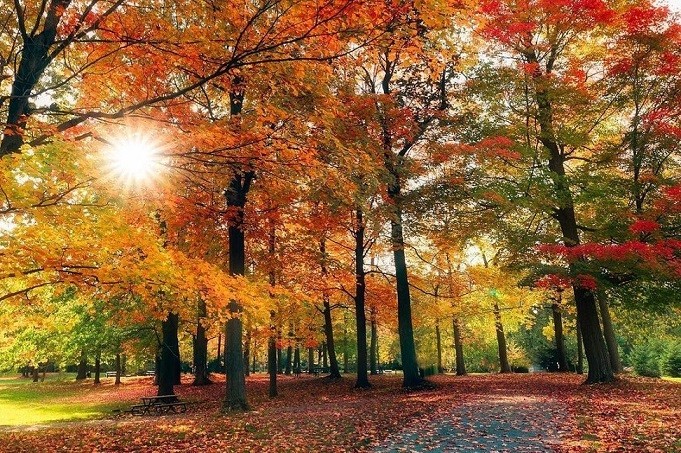 nhiêt độ mùa Thu nhiêt độ mùa Thu