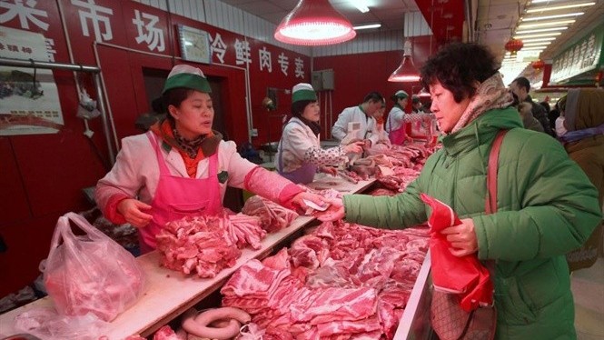 gia heo hoi hom nay 1711 gia heo hoi mien bac di len gia thit tai trung quoc se duy tri o muc thap