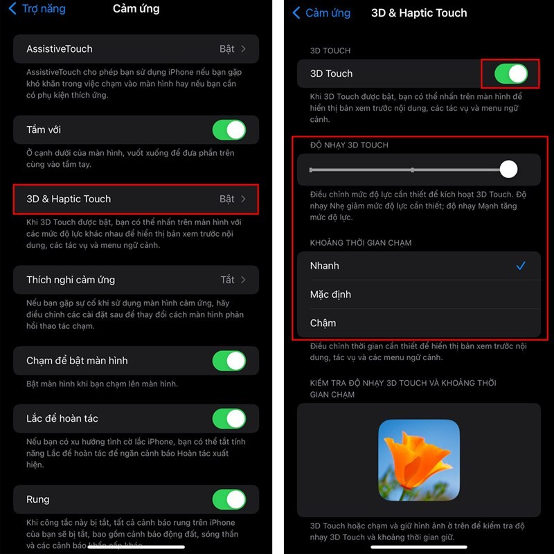 Hướng dẫn cách bật Haptic Touch trên iOS 17 cực đơn giản