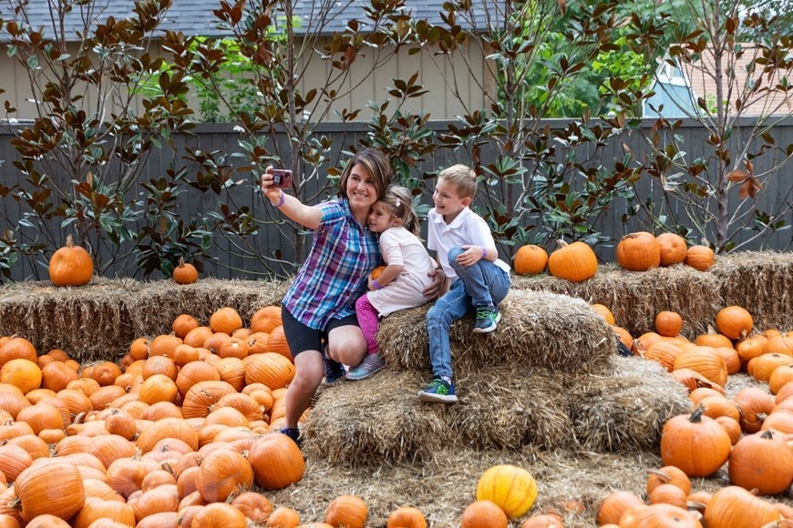 Mỹ: Ngôi làng độc đáo có những căn nhà được làm từ quả bí ngô