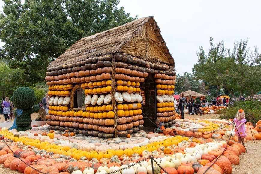 Mỹ: Ngôi làng độc đáo có những căn nhà được làm từ quả bí ngô