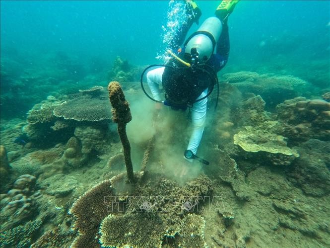 Côn Đảo tiên phong trong việc ứng dụng mô hình kinh tế tuần hoàn Côn Đảo tiên phong trong việc ứng dụng mô hình kinh tế tuần hoàn