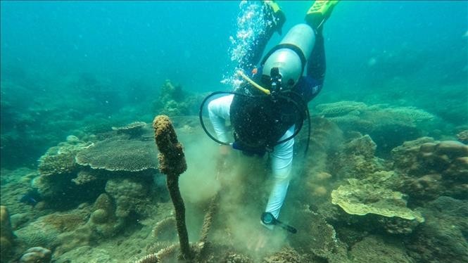 Côn Đảo tiên phong trong việc ứng dụng mô hình kinh tế tuần hoàn