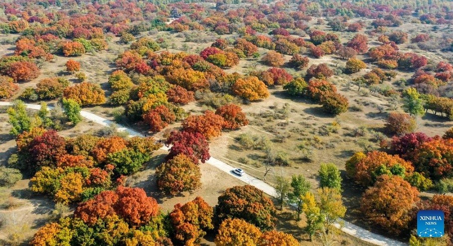 Trung Quốc khai quật ngôi mộ cổ niên đại 2.000 năm có từ thời Tây Hán