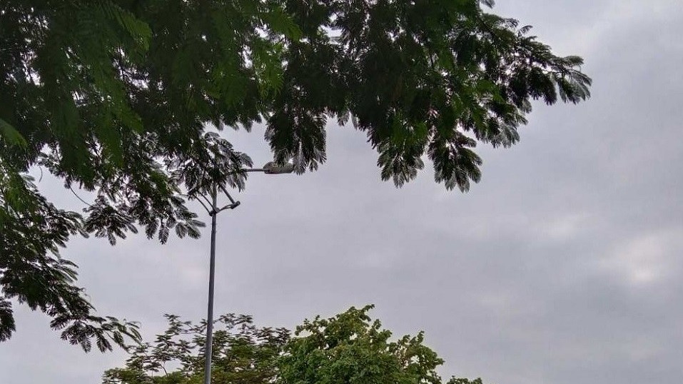 du bao thoi tiet ha noi ngay 2310 nhieu may sang som va dem troi lanh chieu hung nang