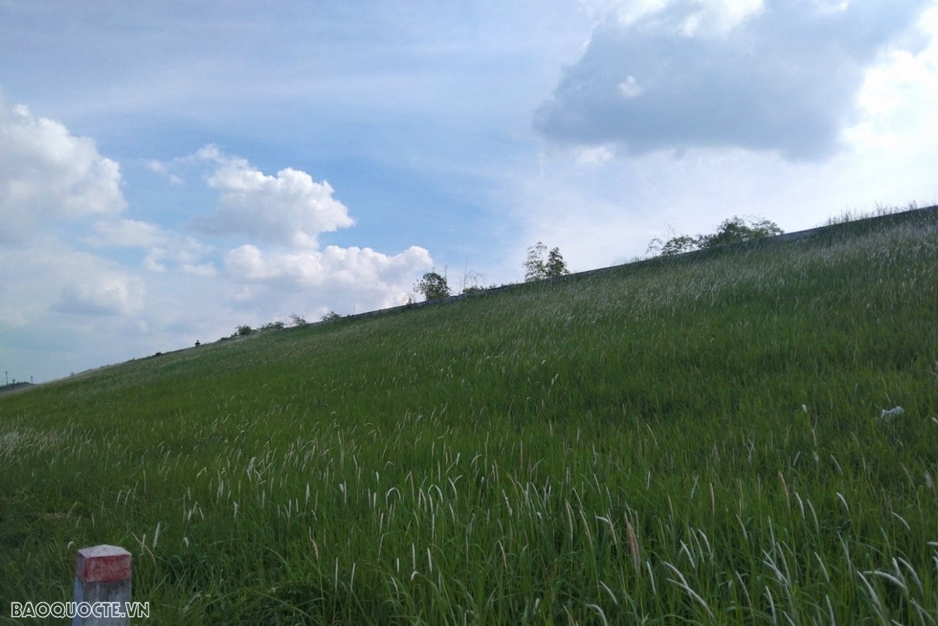 Dự báo thời tiết Hà Nội ngày 24/10: