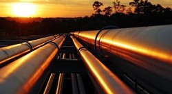 Giá xăng dầu hôm nay 25/11: Tuần nhuộm sắc đỏ