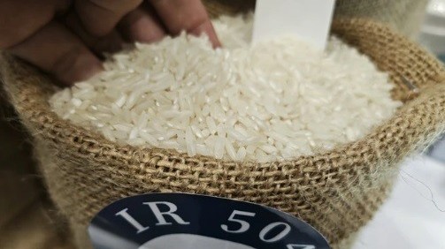 indonesia lai tang mua gao viet nam co the lap dinh moi