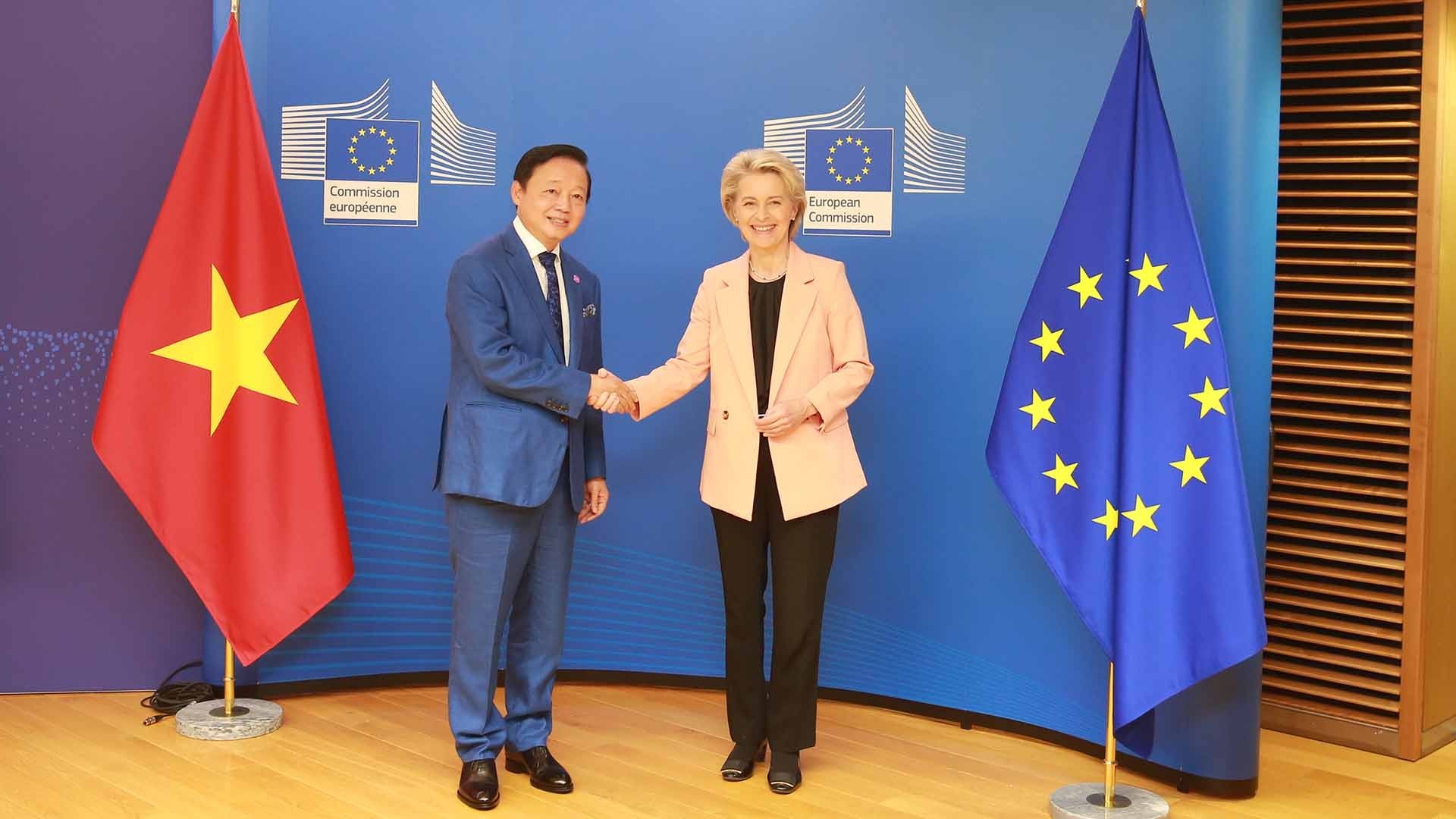 viet nam la doi tac quan trong cua ec trong viec trien khai cac chien luoc sang kien hop tac voi khu vuc