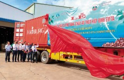 Để Hiệp định EVFTA tiếp tục phát huy vai trò tuyến 'đường cao tốc'
