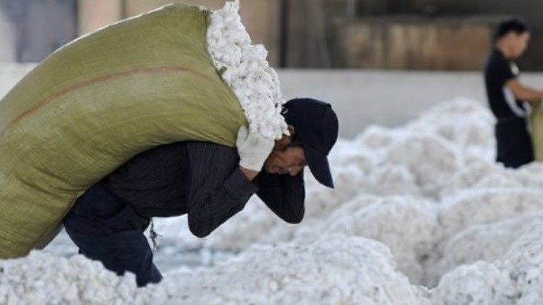 xuat khau ngay 202710 my australia thu hang ty usd tu viet nam nho bong soi an do tich cuc gom manh mat hang nay