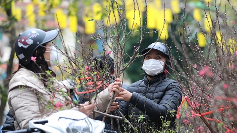 Đề xuất lịch nghỉ tết Âm lịch và lễ Quốc khánh năm 2024 với cán bộ, công chức và người lao động mới nhất Đề xuất lịch nghỉ tết Âm lịch và lễ Quốc khánh năm 2024 với cán bộ, công chức và người lao động mới nhất