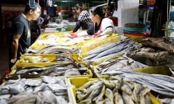 Mỹ lần đầu tiên làm điều này với hải sản Nhật Bản