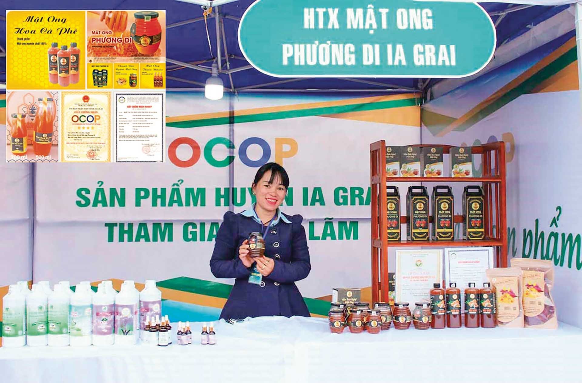 Các sản phẩm đặc trưng của tỉnh Gia Lai. (Nguồn: ocopgialai.vn) Các sản phẩm đặc trưng của tỉnh Gia Lai. (Nguồn: ocopgialai.vn)