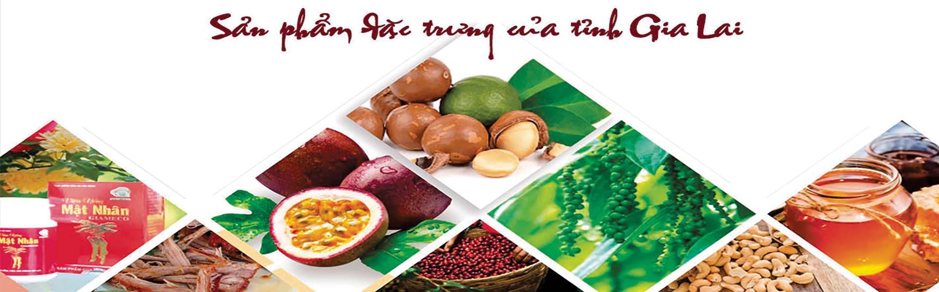 Chương trình OCOP tại Gia Lai đã góp phần tích cực trong việc hình thành hàng trăm sản phẩm đặc trưng của tỉnh. (Nguồn: Tạp chí Kinh tế Nông thôn) Chương trình OCOP tại Gia Lai đã góp phần tích cực trong việc hình thành hàng trăm sản phẩm đặc trưng của tỉnh. (Nguồn: Tạp chí Kinh tế Nông thôn)