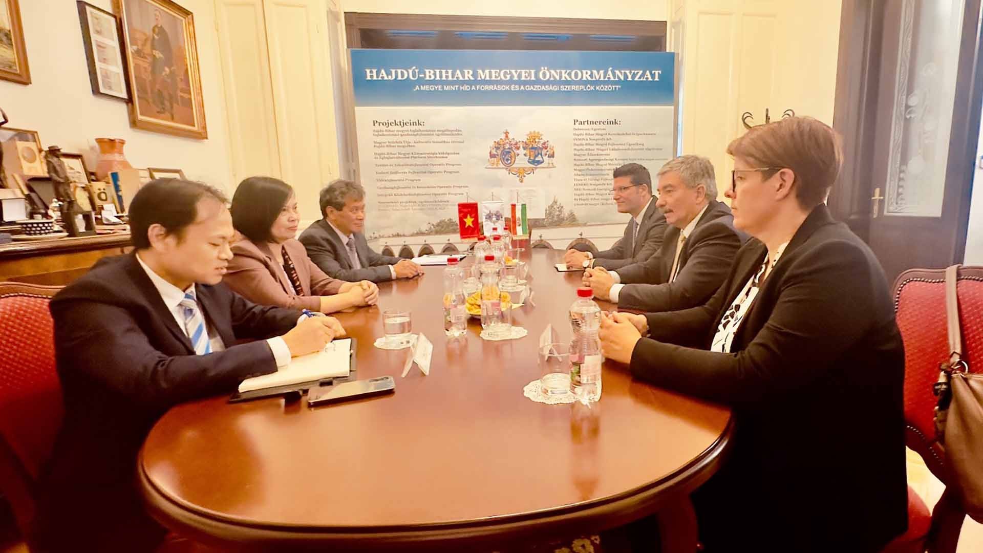 Thúc đẩy quan hệ hợp tác giữa các địa phương của Việt Nam và Hungary