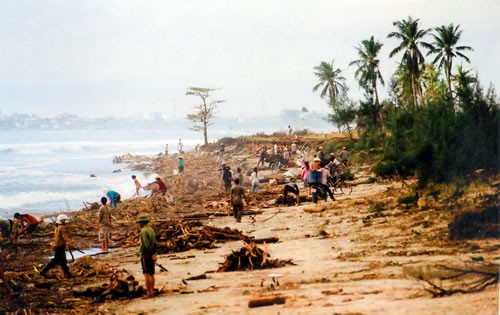 Việt Nam - một trong năm nước bị tác động mạnh của nước biển dâng Việt Nam - một trong năm nước bị tác động mạnh của nước biển dâng