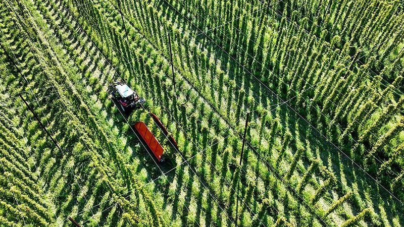 bia se doi vi theo khi hau