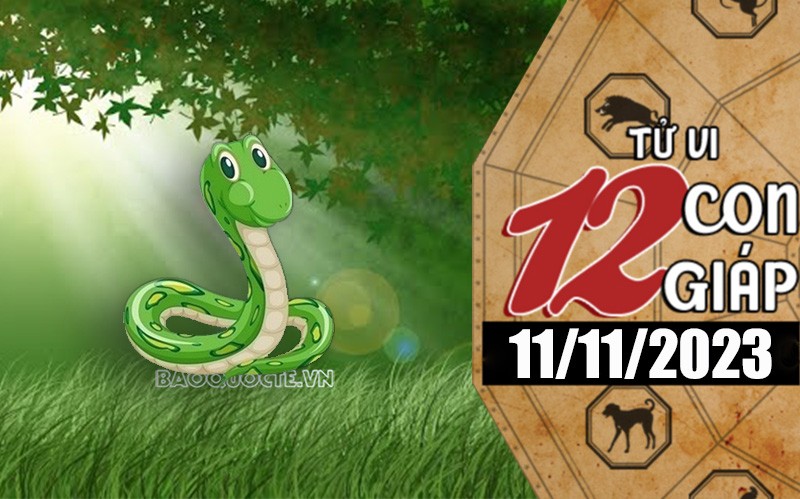 Tử vi hôm nay, xem tử vi 12 con giáp hôm nay ngày 11/11/2023: Tuổi Tỵ công việc phát triển