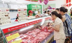 Giá heo hơi hôm nay 11/11: Giá heo hơi miền Bắc chưa dứt đà giảm