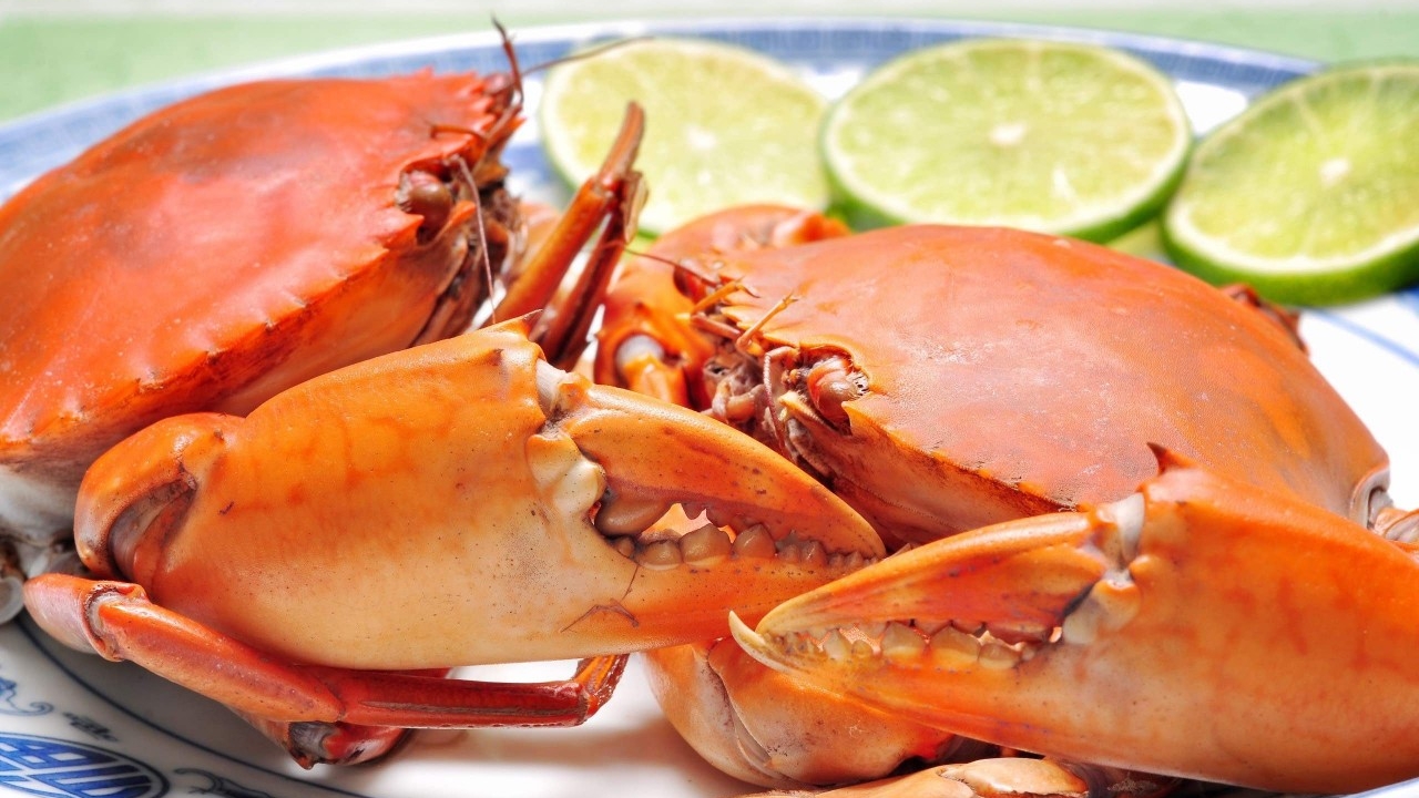 Cà Mau phấn đấu trở thành trung tâm nuôi cua lớn nhất Đồng bằng sông Cửu Long và cả nước