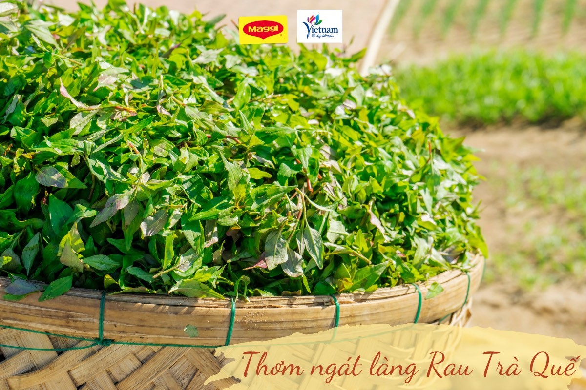 Phố cổ Hội An: Thiên đường ẩm thực miền di sản Phố cổ Hội An: Thiên đường ẩm thực miền di sản