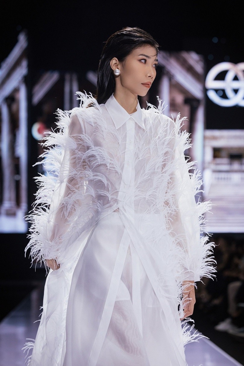 Á hậu Phương Phi, Hoa hậu Mai Phương