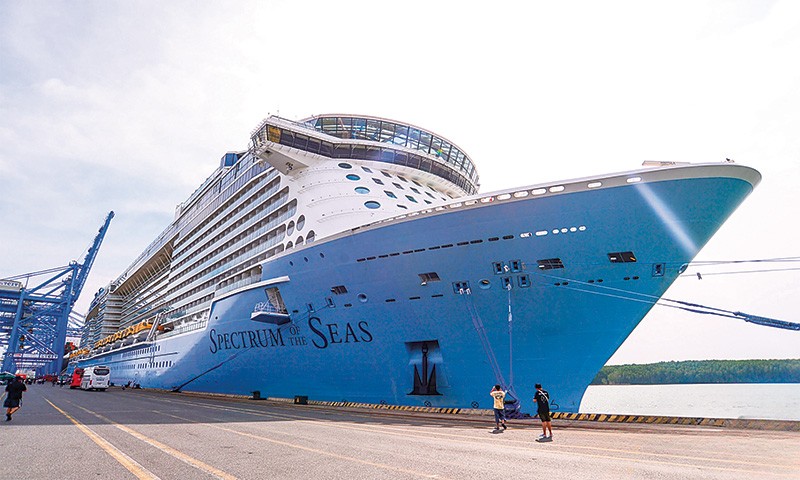 Cảng Tân Cảng - Cái Mép: Tiềm năng phát triển Trung tâm logistics hậu cảng khu vực Cái Mép