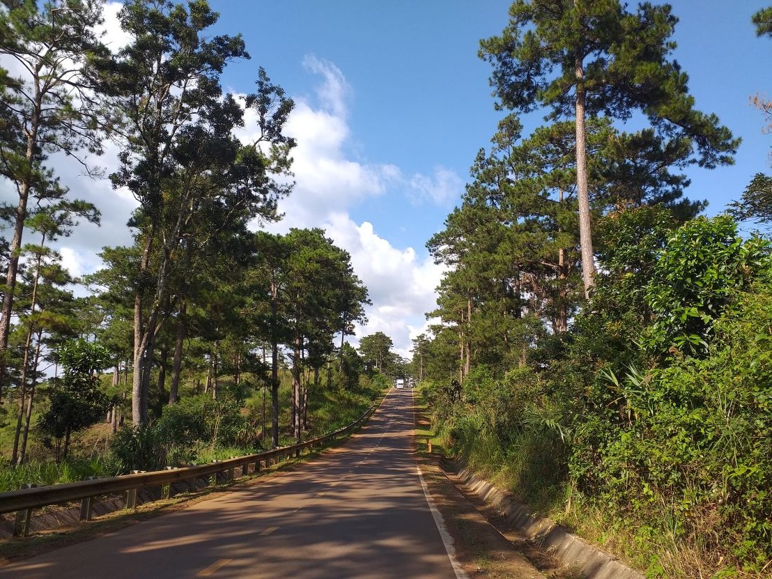 ĐT 725 xuyên qua tỉnh Lâm Đồng là cung đường tuyệt đẹp để ngắm hoa dã quỳ... ĐT 725 xuyên qua tỉnh Lâm Đồng là cung đường tuyệt đẹp để ngắm hoa dã quỳ...