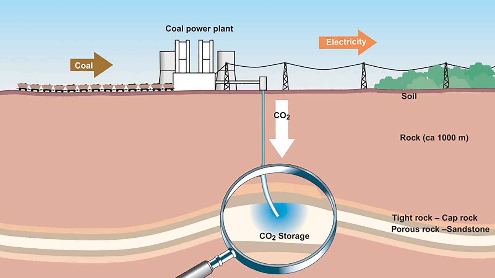 Giải pháp cho biến đổi khí hậu: ‘Bắt’ carbon phục vụ hành tinh xanh