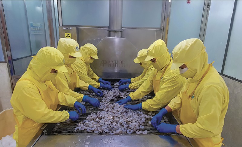 ca mau tang cuong thu hut von dau tu nhat ban chat luong cao